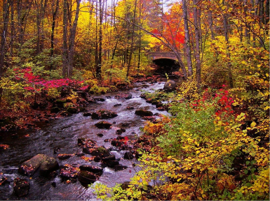 Fall colors at a stream near Milford, New Hampshire ...