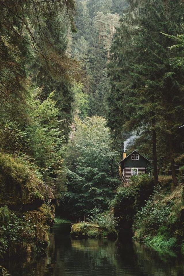 Small cabin in a forest near the river - Beautiful places. Best places