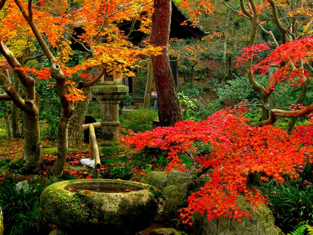 A Japanese Garden - Beautiful places. Best places in the world. Shut up ...